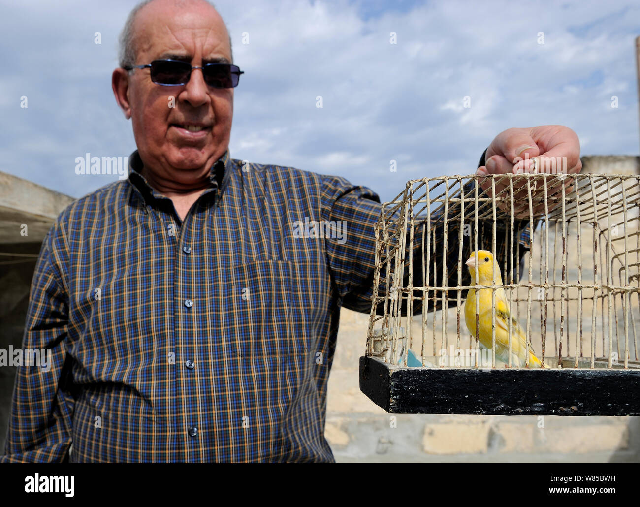 Albert Dimech, mit Haustier Kanarienvogel (Serinus canaria) Malta, März 2012. Stockfoto