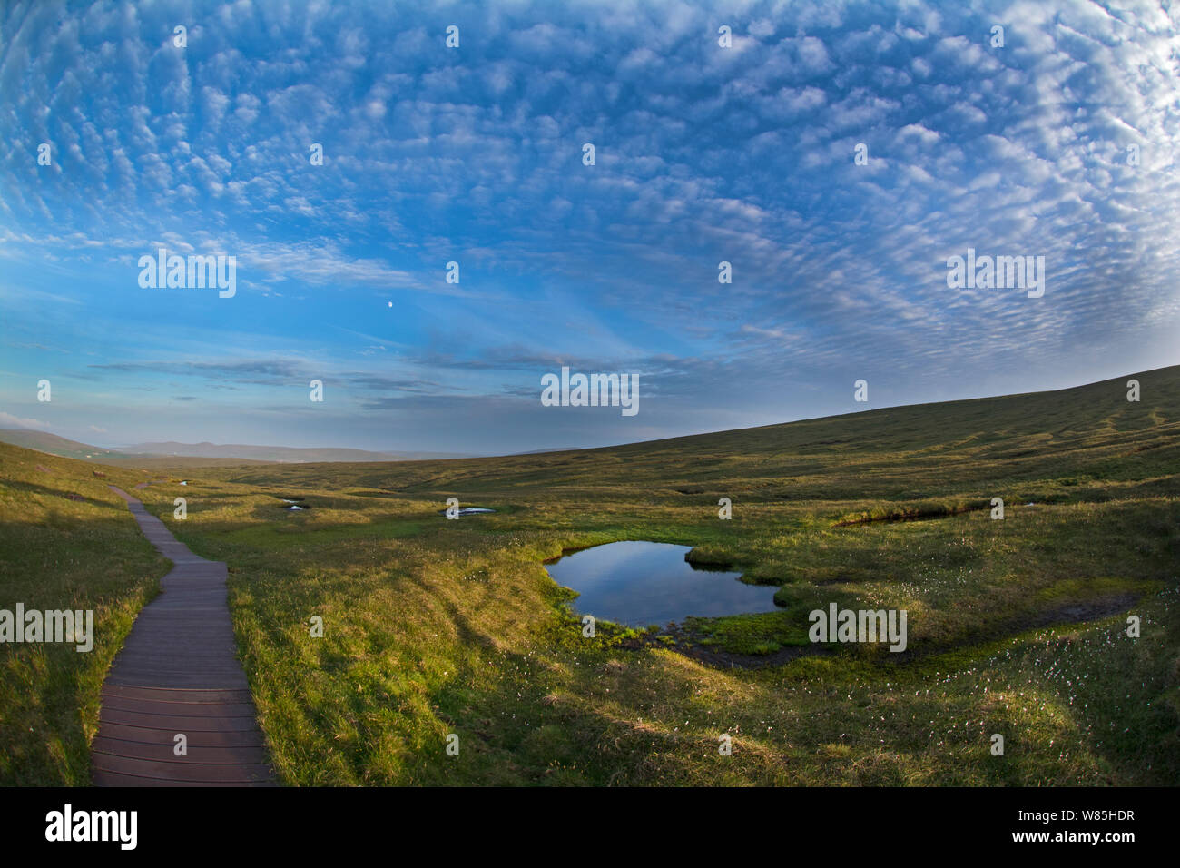 Lochan auf Flächenmoore, hermaness National Nature Reserve, Unst, Shetlandinseln, Schottland, Juni 2014. Stockfoto