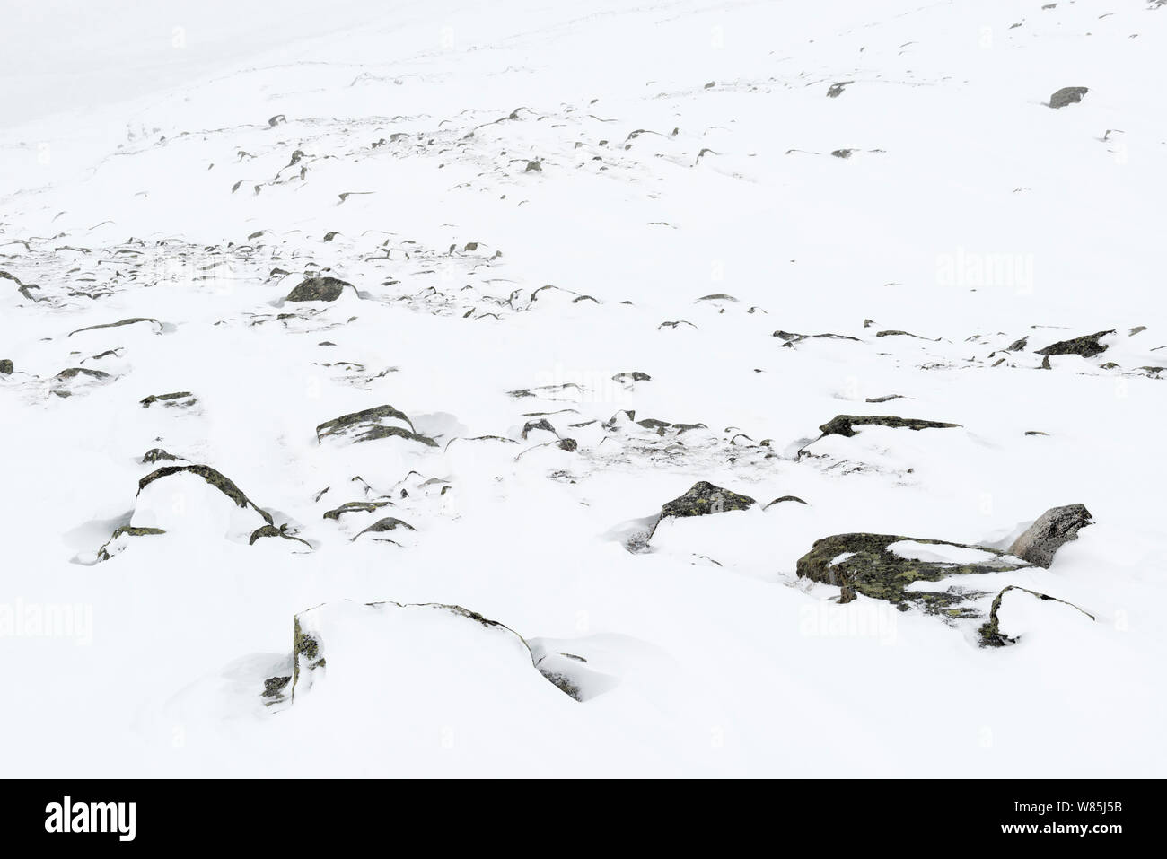 Mount Ritok fallenden Schnee, Rapadalen Tal. Sarek Nationalpark, Welterbe Laponia, Schwedisch Lappland, Schweden. April 2014. Stockfoto