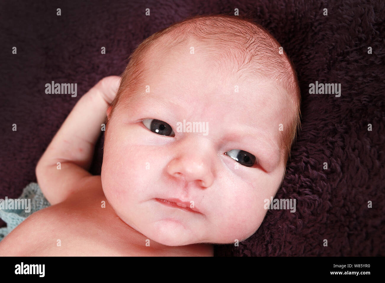 1 Wochen altes Baby Boy Stockfoto