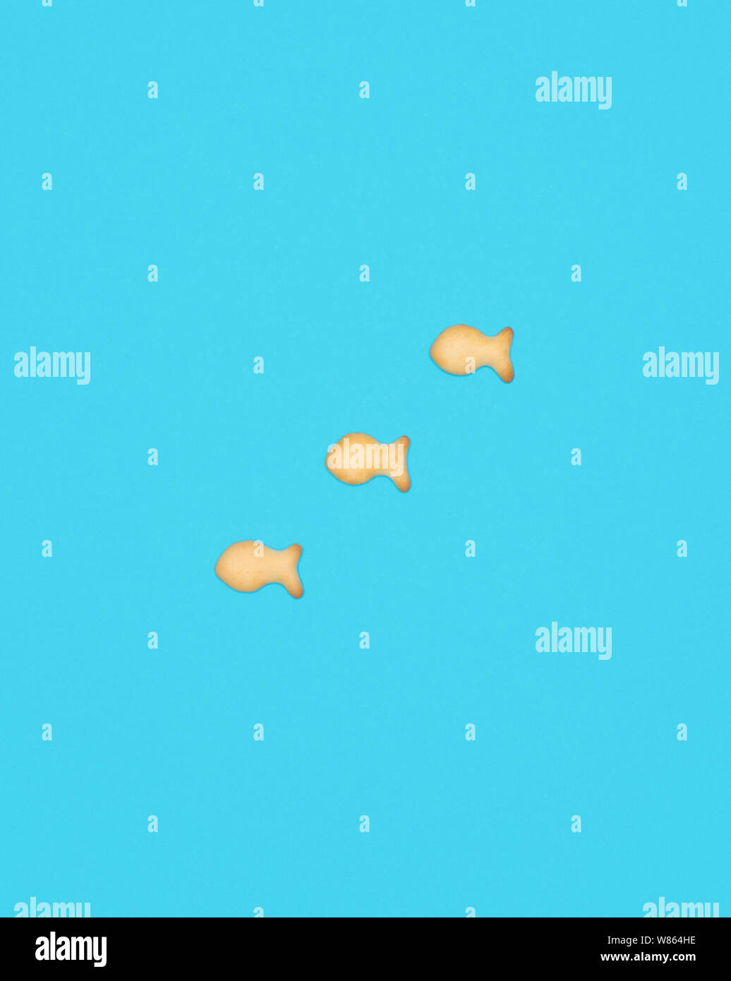 Anmelden/Hub Charakter von Cookies in Form von Fisch auf einem blauen Hintergrund Stockfoto
