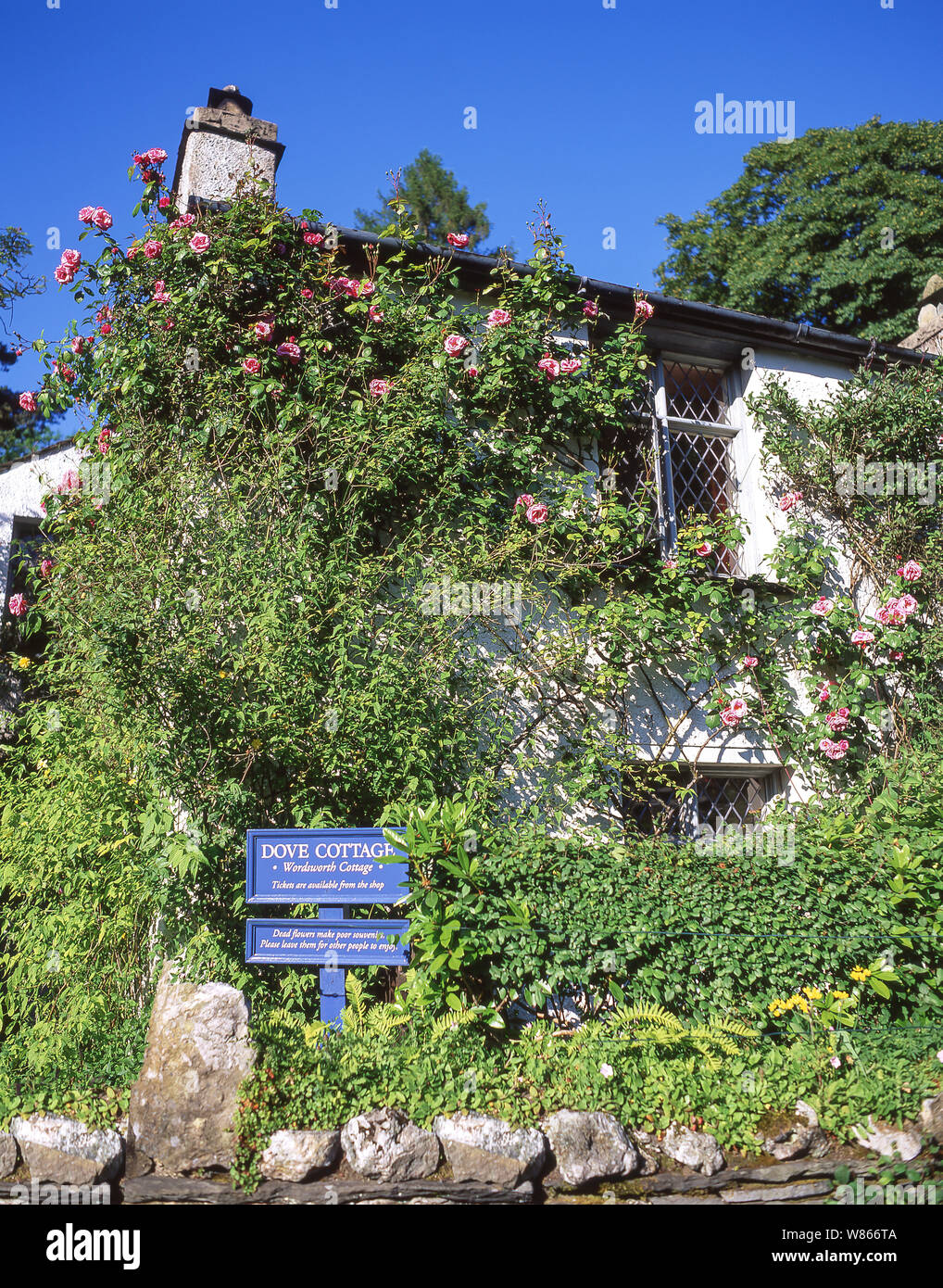 Dove Cottage (William Wordsworth), Grasmere, Nationalpark Lake District, Cumbria, Dorset, England, Vereinigtes Königreich Stockfoto