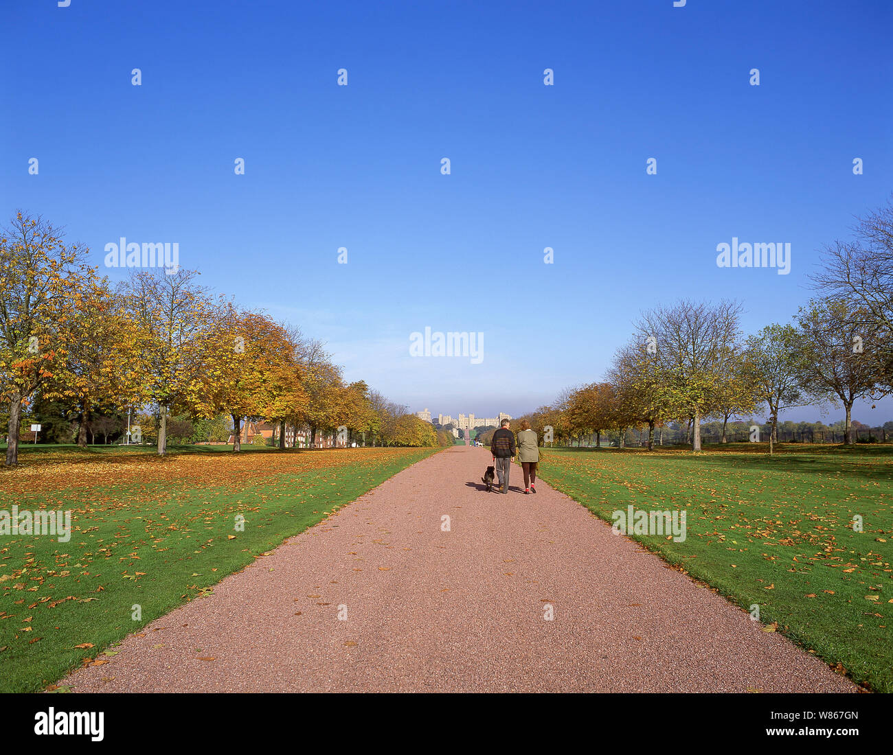 Windsor Castle aus dem langen Spaziergang im Herbst, Windsor, Berkshire, England, Vereinigtes Königreich Stockfoto