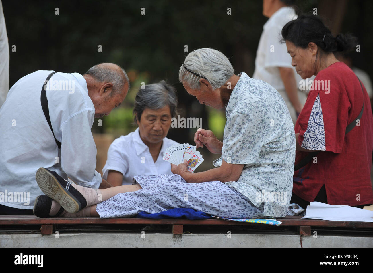 ------ Ältere Chinesen spielen Karten in einem Park in Shenyang City, im Nordosten der chinesischen Provinz Liaoning, 20. August 2013. Es wurden 222 Mio. pe Stockfoto