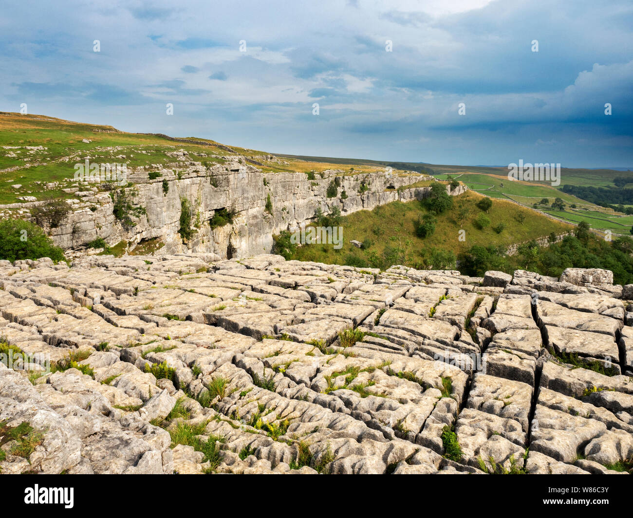 Kalkstein Bürgersteig und Klippen von Malham Abdeckung in der Nähe Malham Yorkshire Dales National Park England Stockfoto