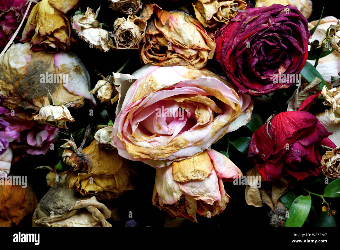 Verwelkte Rosen der trauernden Kranz Stockfoto
