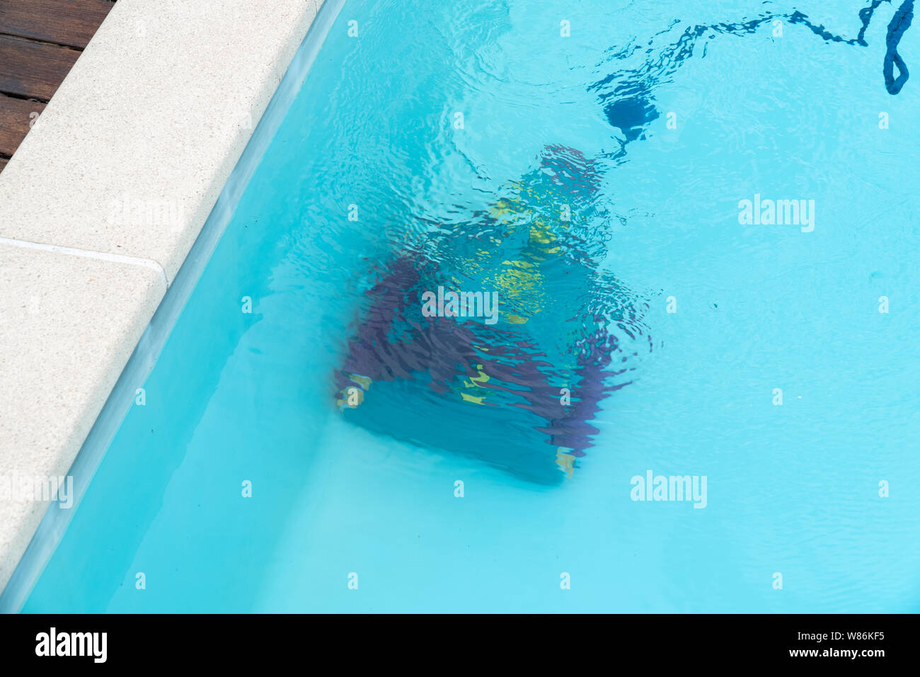 Roboter Reinigung Schwimmbad. Wartung pool Konzept Stockfoto