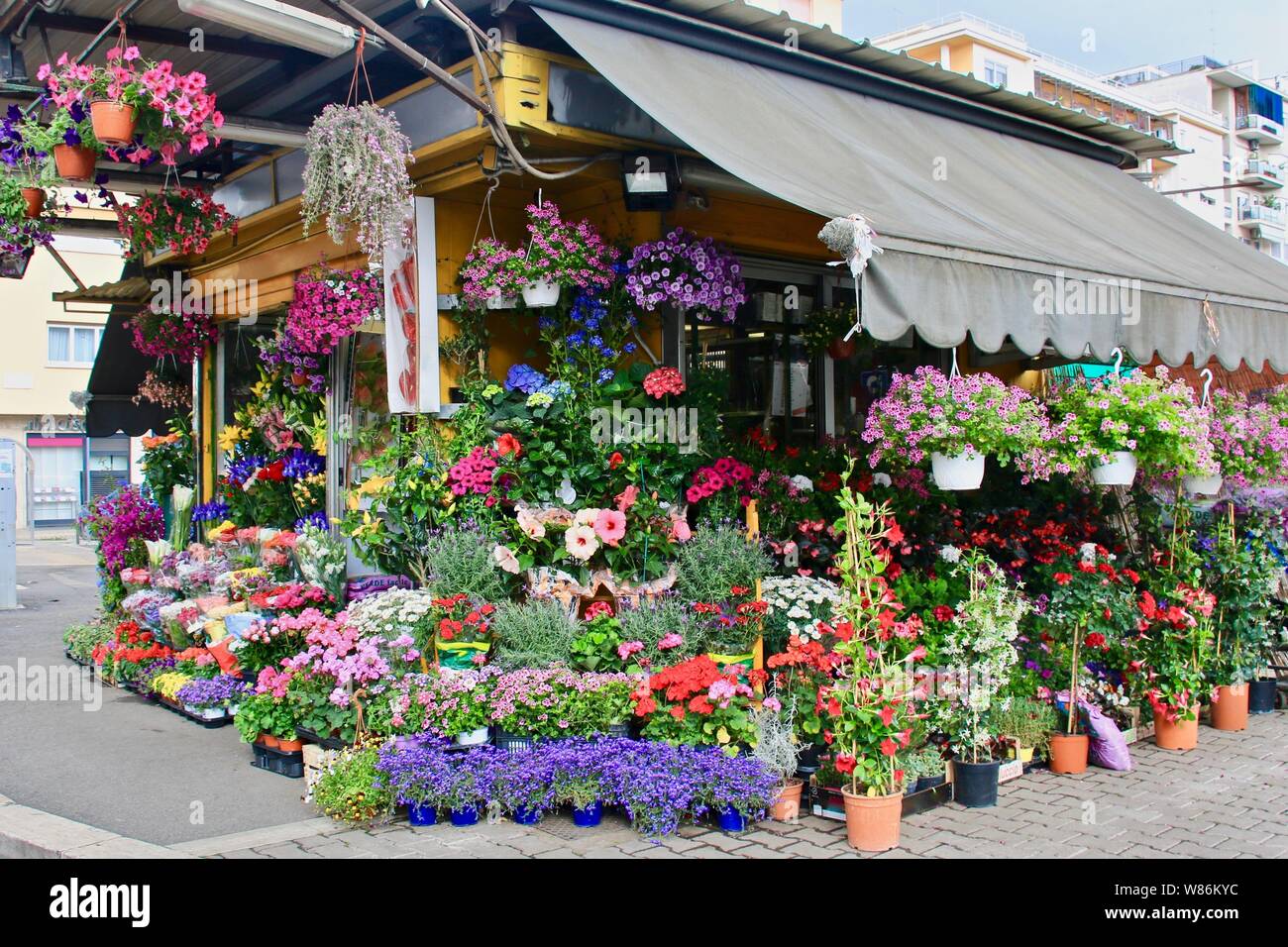 Malerisch schönen Blumenladen Feder Stockfoto