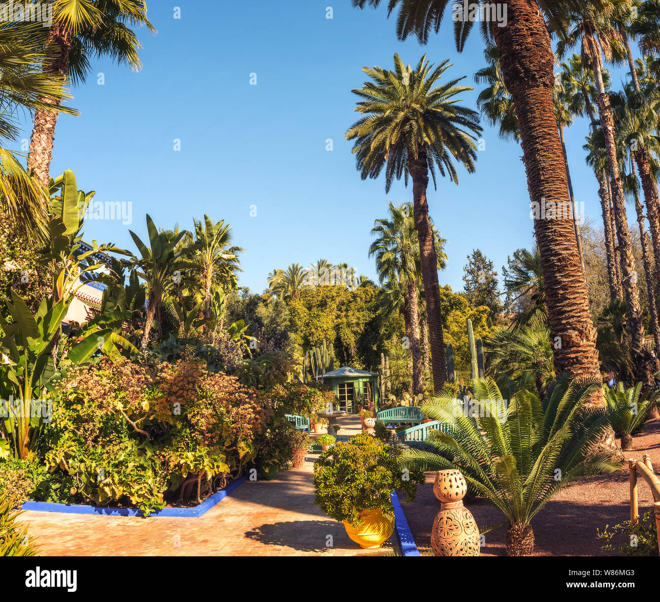 Kakteen und Palmen an der botanische Garten Jardin Majorelle in Marrakesch Stockfoto