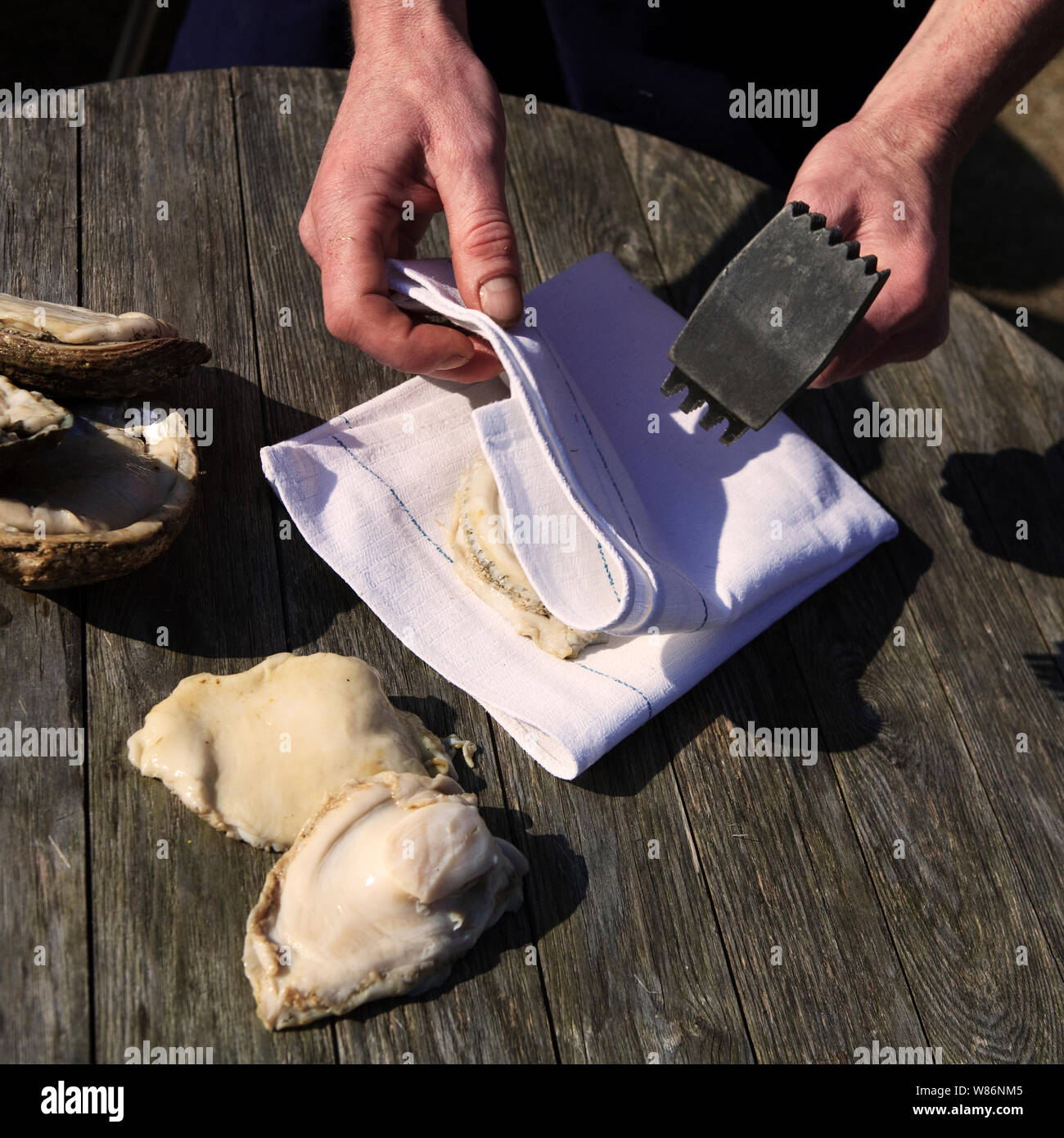 Guernsey Seeohren - Meeresfrüchte aus dem abalone Familie - Vorbereitet in einem Eintopf gekocht zu werden. Stockfoto