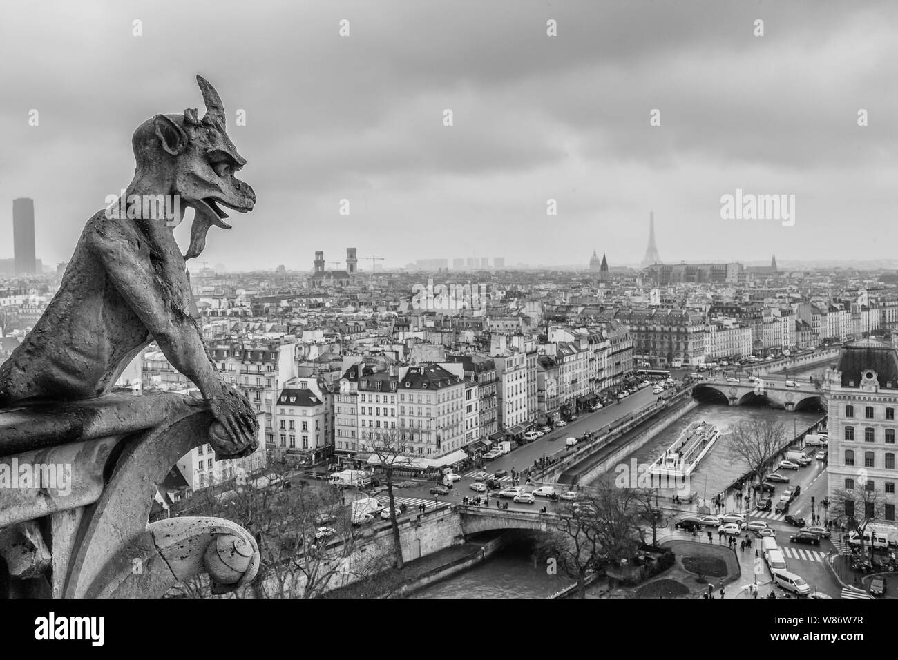 Paris (Frankreich): Chimäre von Kathedrale Notre-Dame (nicht für Postkarte Produktion verfügbar) Stockfoto