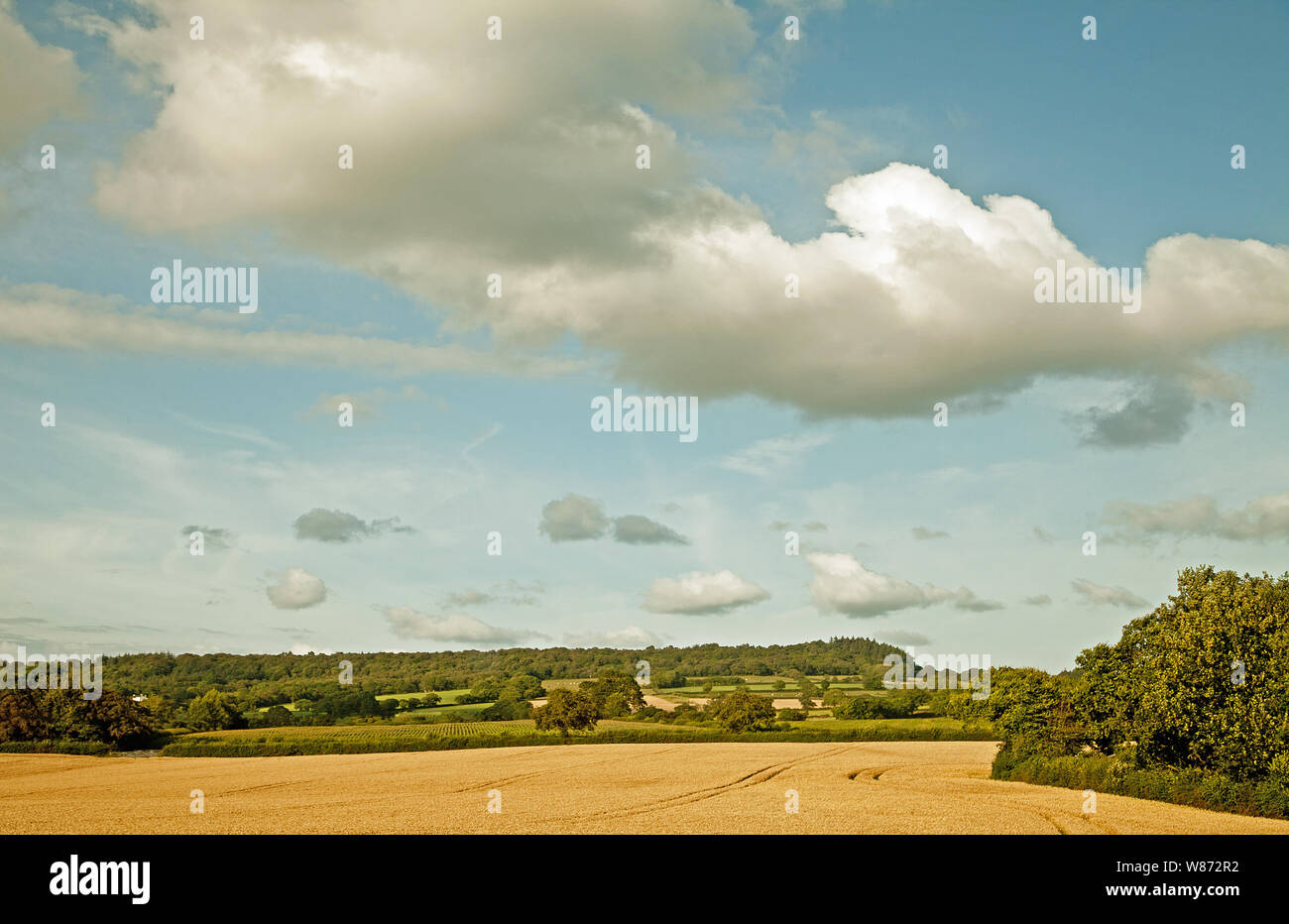 Ackerland vista Stockfoto