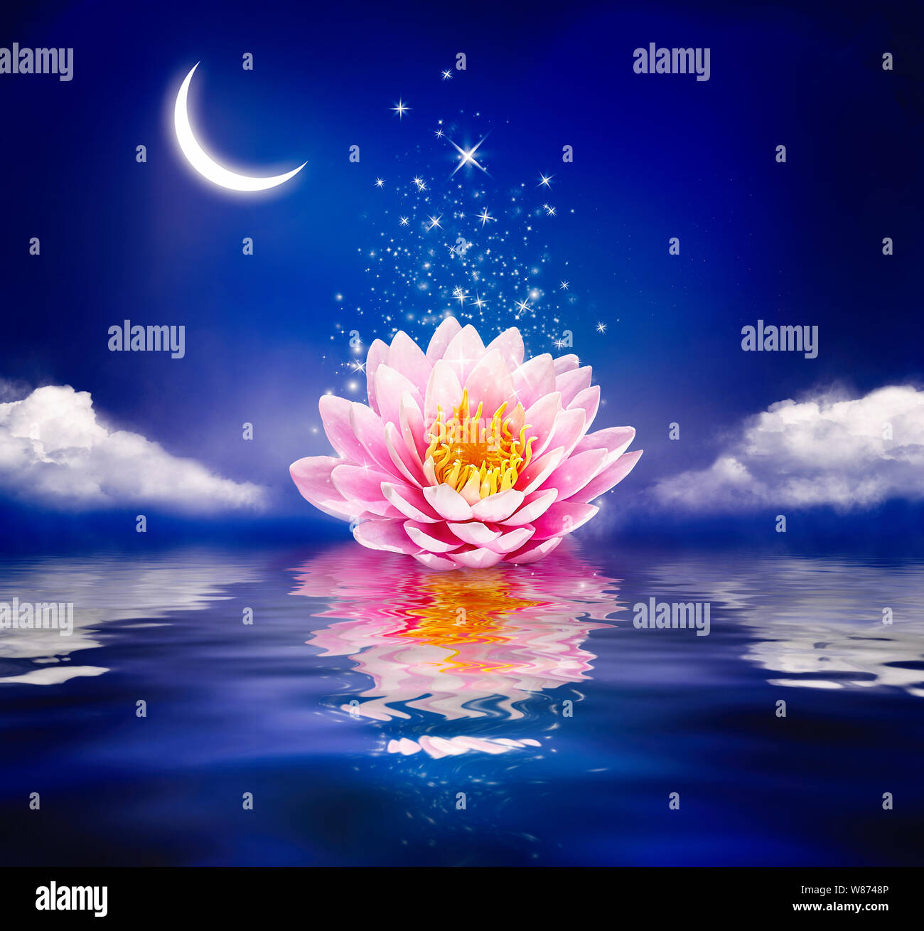 Schöne magische Blume auf dem Wasser. Seerose oder Lotus und Mond in der Nacht. Stockfoto