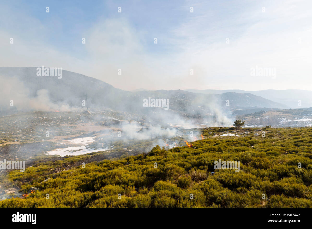 Brandrodung Landwirtschaft in den Cevennen, Schutzzone in der Nähe von Pont-de-Montvert-Sud Mont Lozere (Südfrankreich). Brandrodung farmin Stockfoto