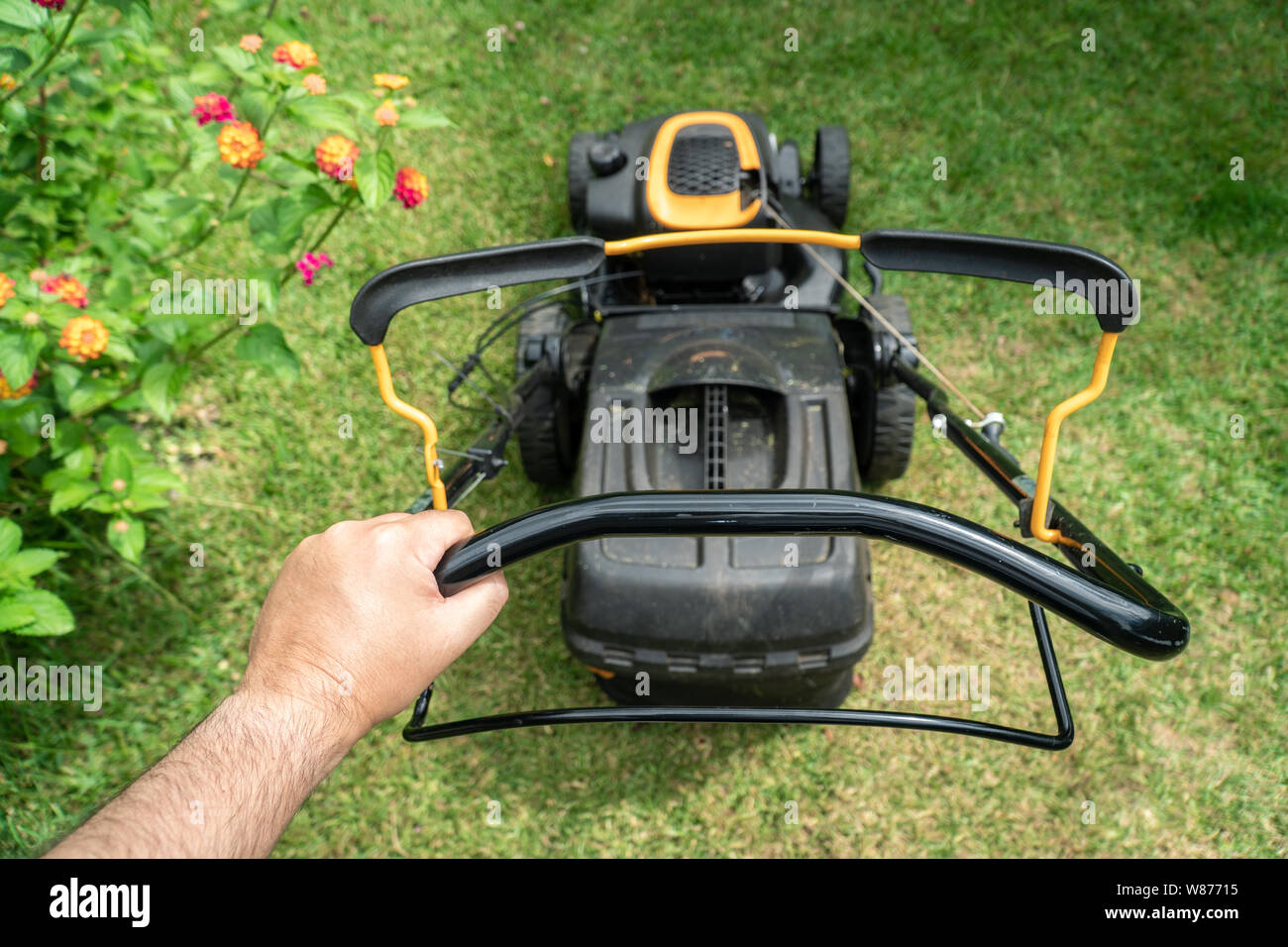 Mann hand mit einem Rasenmäher Maschine zum Schneiden von Gras. Gartenarbeit Konzept Stockfoto