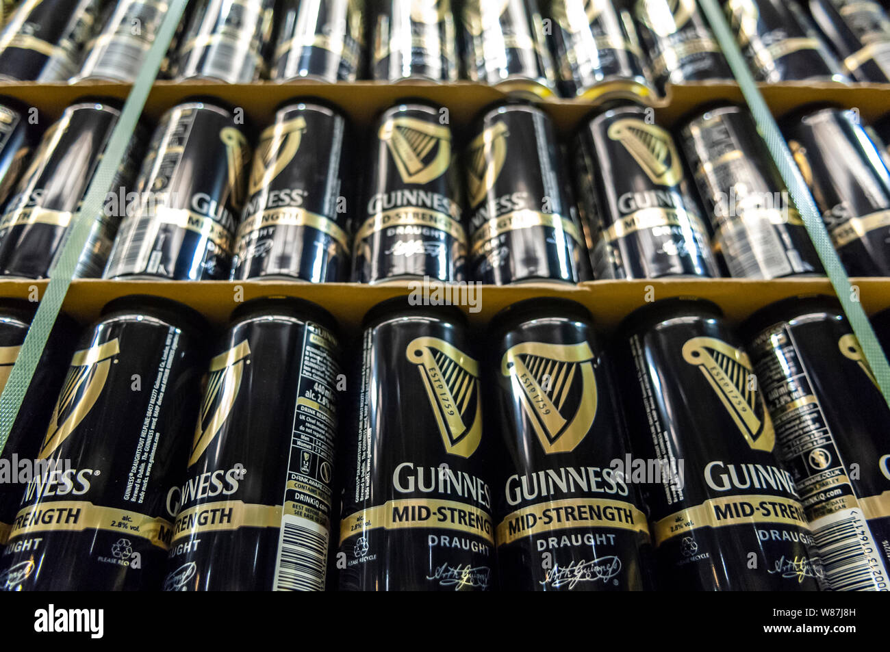 Reihen von Guinness Dosen gespeichert und auf Paletten befestigt. Stockfoto