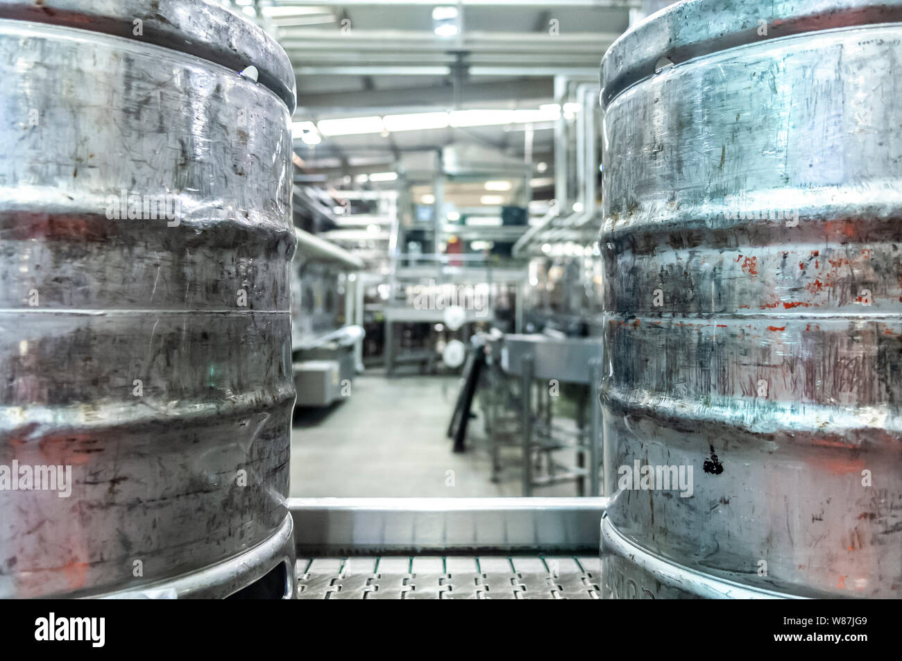Bierfässer auf einem Förderband in einer Brauerei. Stockfoto