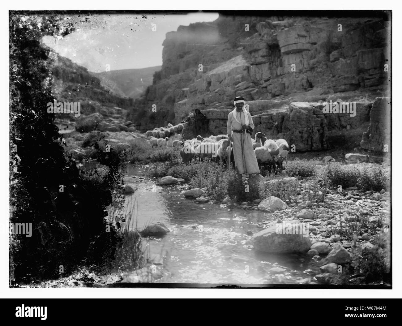 Psalm 23, Schafe Stockfoto