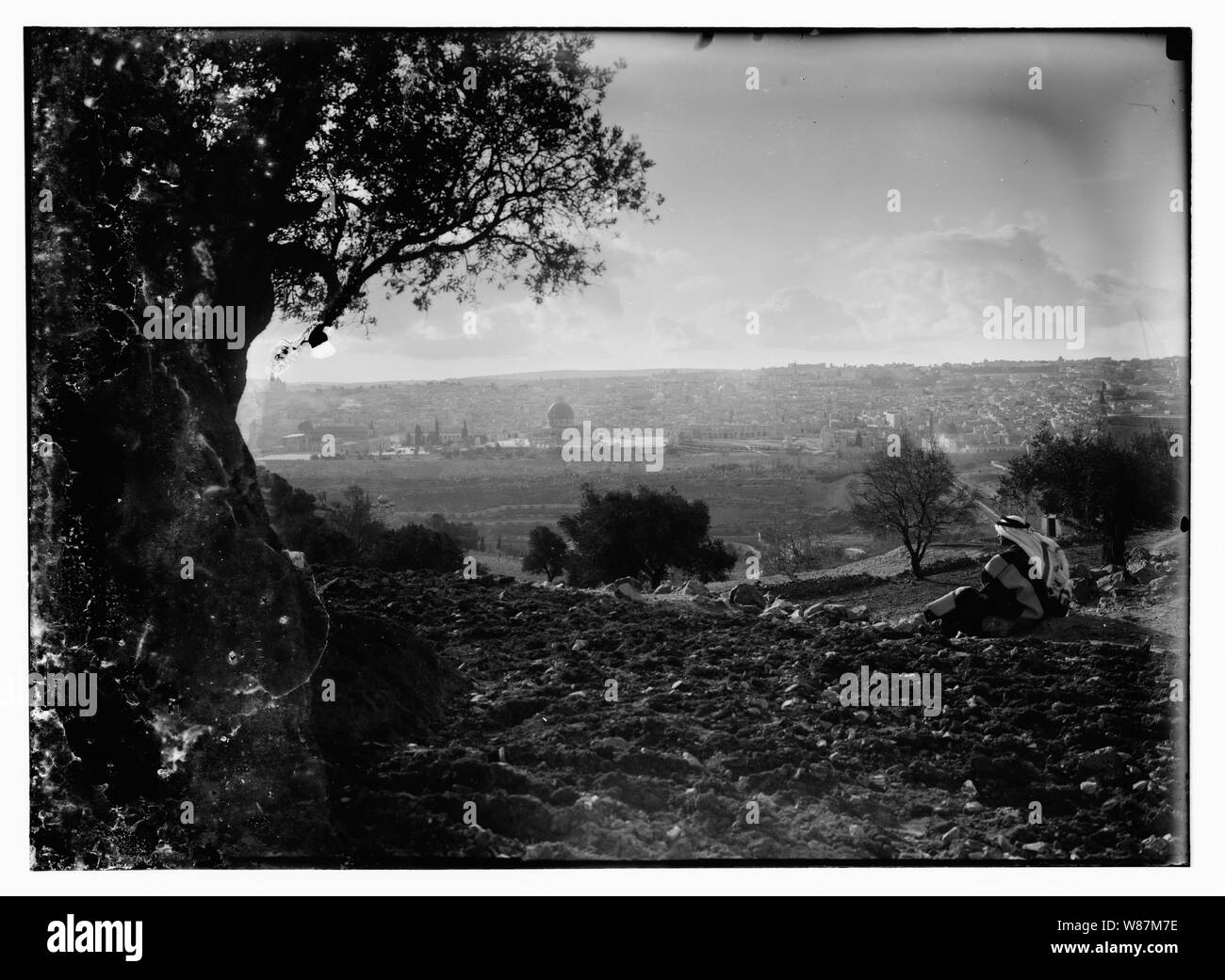 Psalm 23, Schafe Stockfoto