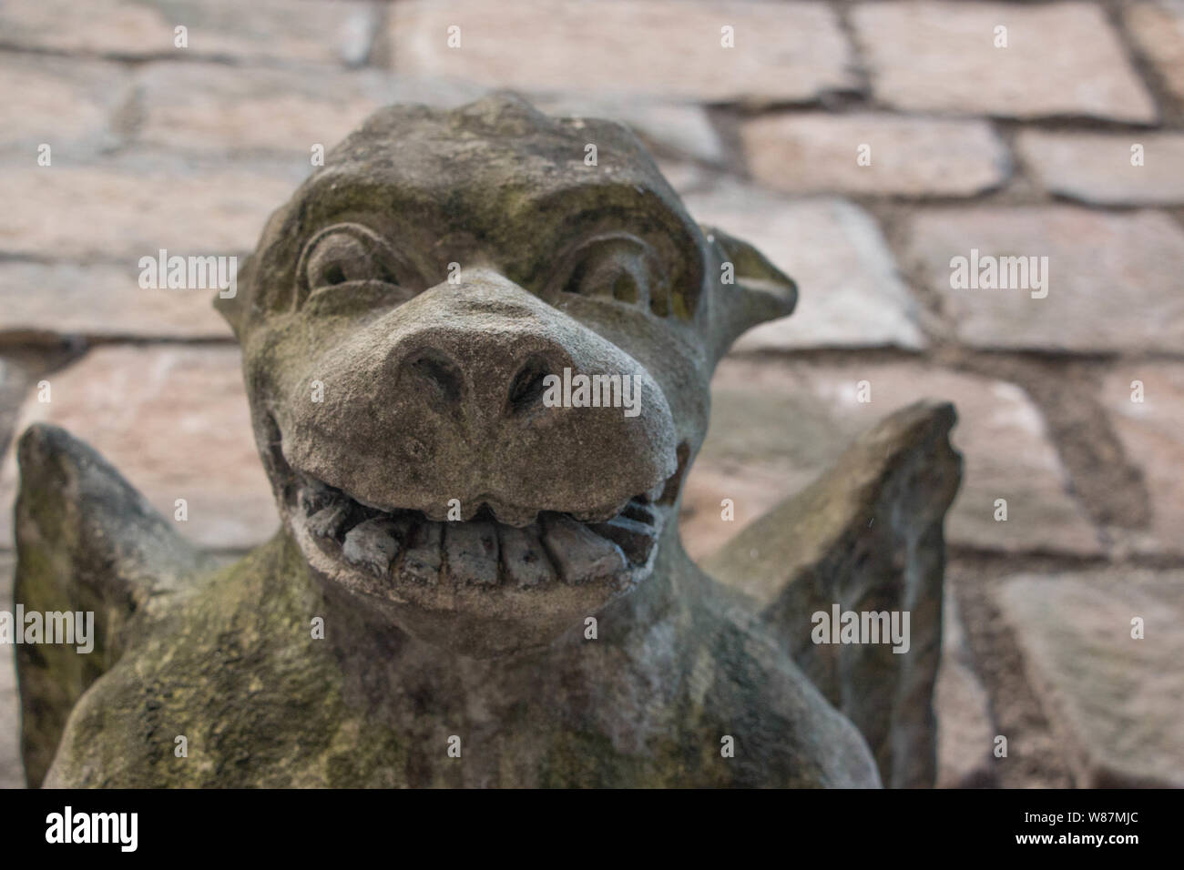 Hund - wie winged Wasserspeier an einer Wand in Coney Street, New York Stockfoto