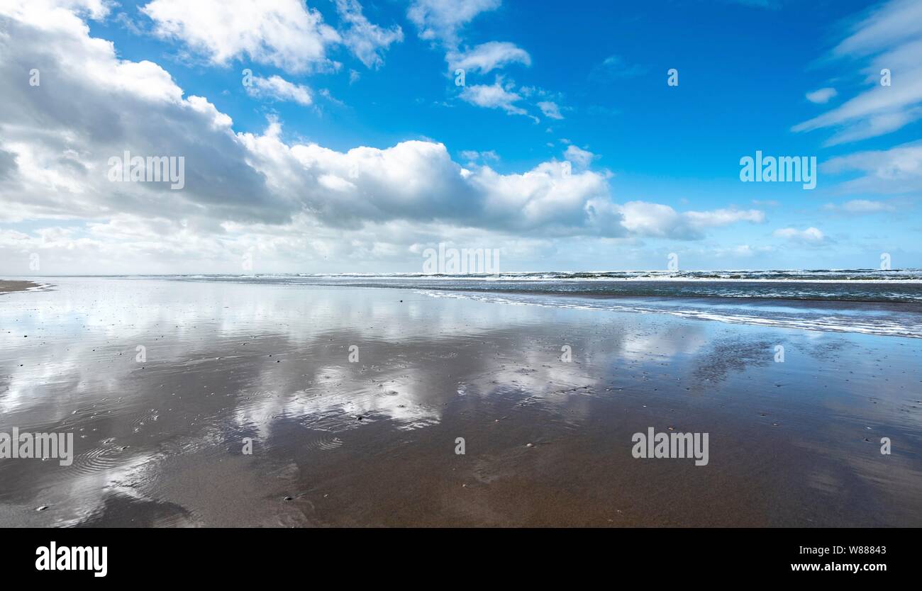 Wolken im Wasser spiegelt, flache Sandstrand an der Nordsee, Zandvoort aan Zee, Nordholland, Niederlande, Niederlande Stockfoto