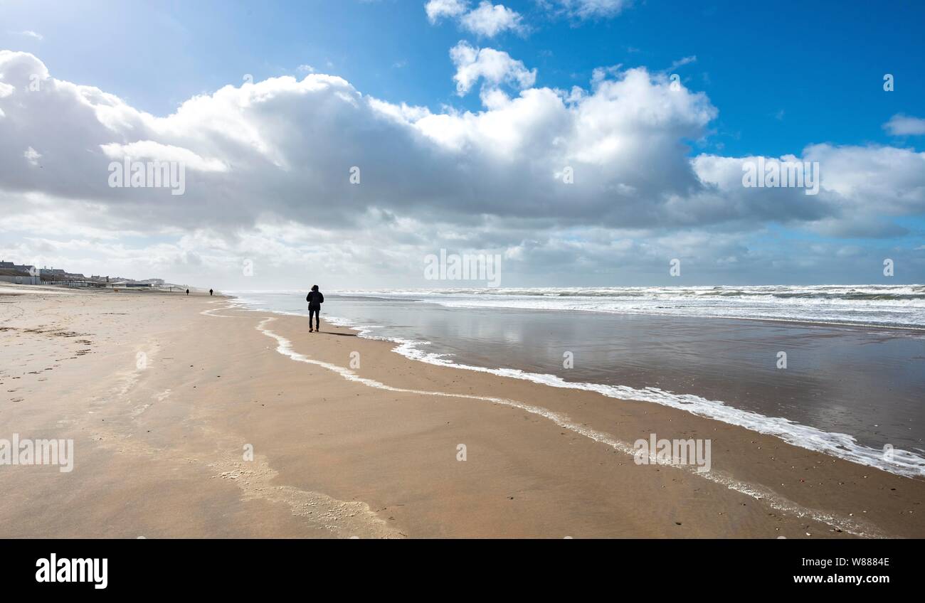 Junger Mann zu Fuß am Strand, Nordsee, Zandvoort aan Zee, Nordholland, Niederlande, Niederlande Stockfoto