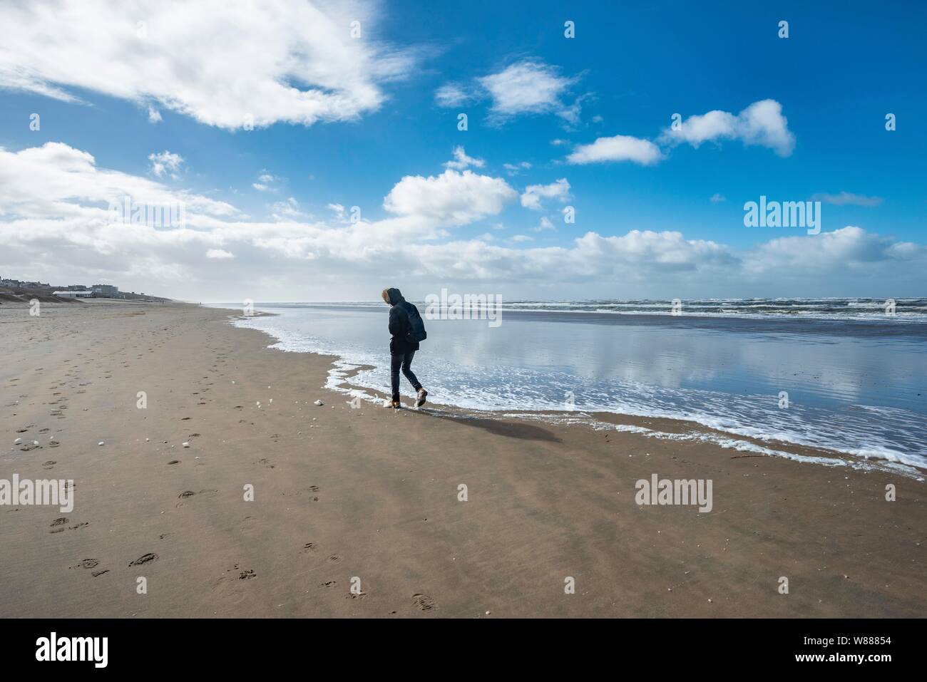 Junger Mann entlang Strand, Nordsee, Zandvoort aan Zee, Nordholland, Niederlande, Niederlande Stockfoto