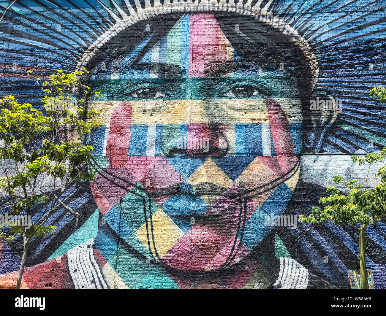 Ethnizität, STREET ART IN RIO DE JANEIRO Stockfoto