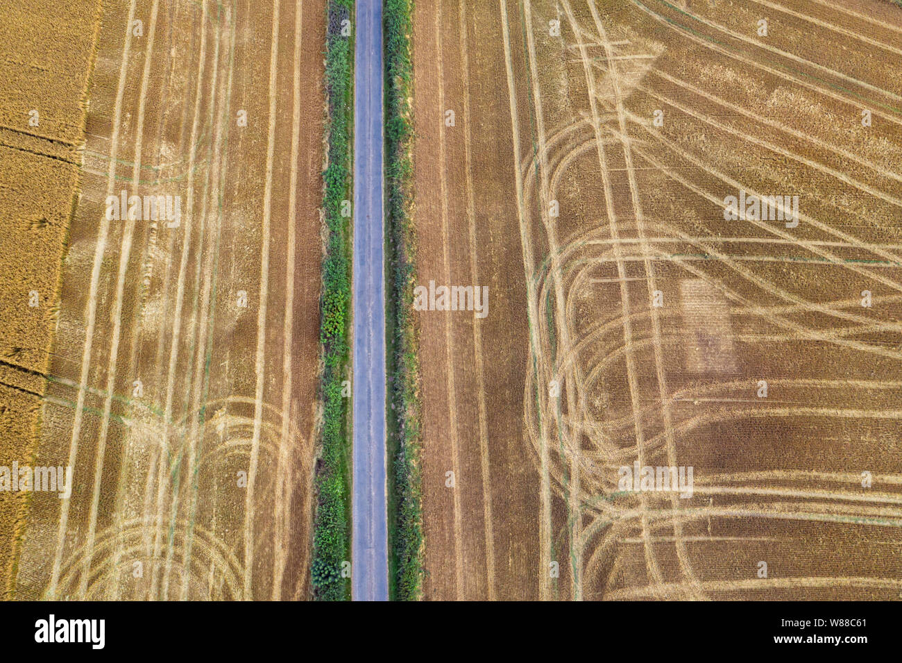 Von oben nach unten drone Blick über frisch geernteten Weizen Feld geteilt durch die ländliche Landschaft Straße in Shropshire, Großbritannien Stockfoto