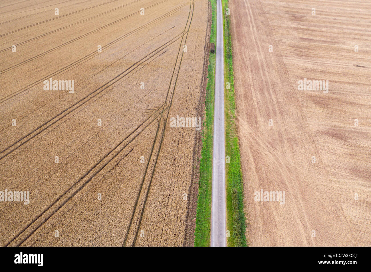 Antenne drone Blick über frisch geernteten Raps- und Rübsensamen und Reif oat Feld geteilt durch die ländliche Landschaft Straße in Shropshire, Großbritannien Stockfoto