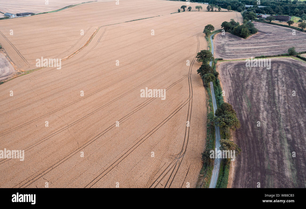 Luftaufnahme über Felder am Sommer, der in Shropshire, Großbritannien Stockfoto