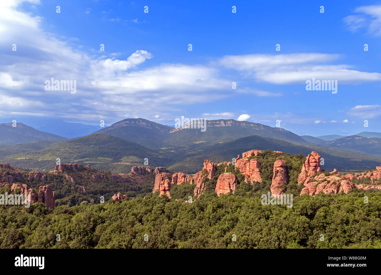 Herrliche Felsen unter den Wald in Belogradchik, Bulgarien. Stockfoto