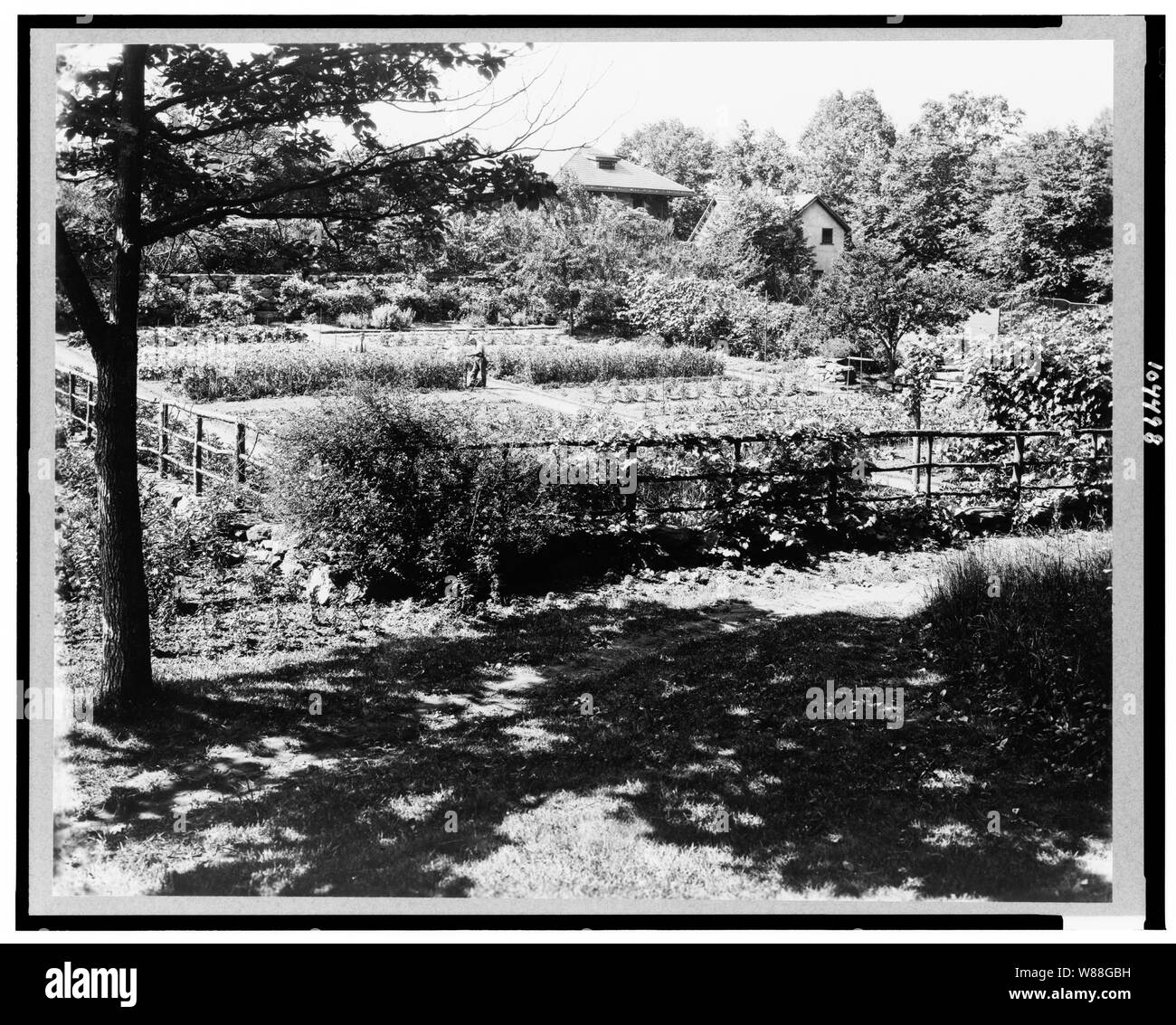 Chelmsford, Elon Huntington Hooker Haus, Greenwich, Connecticut. Gemüsegarten Stockfoto