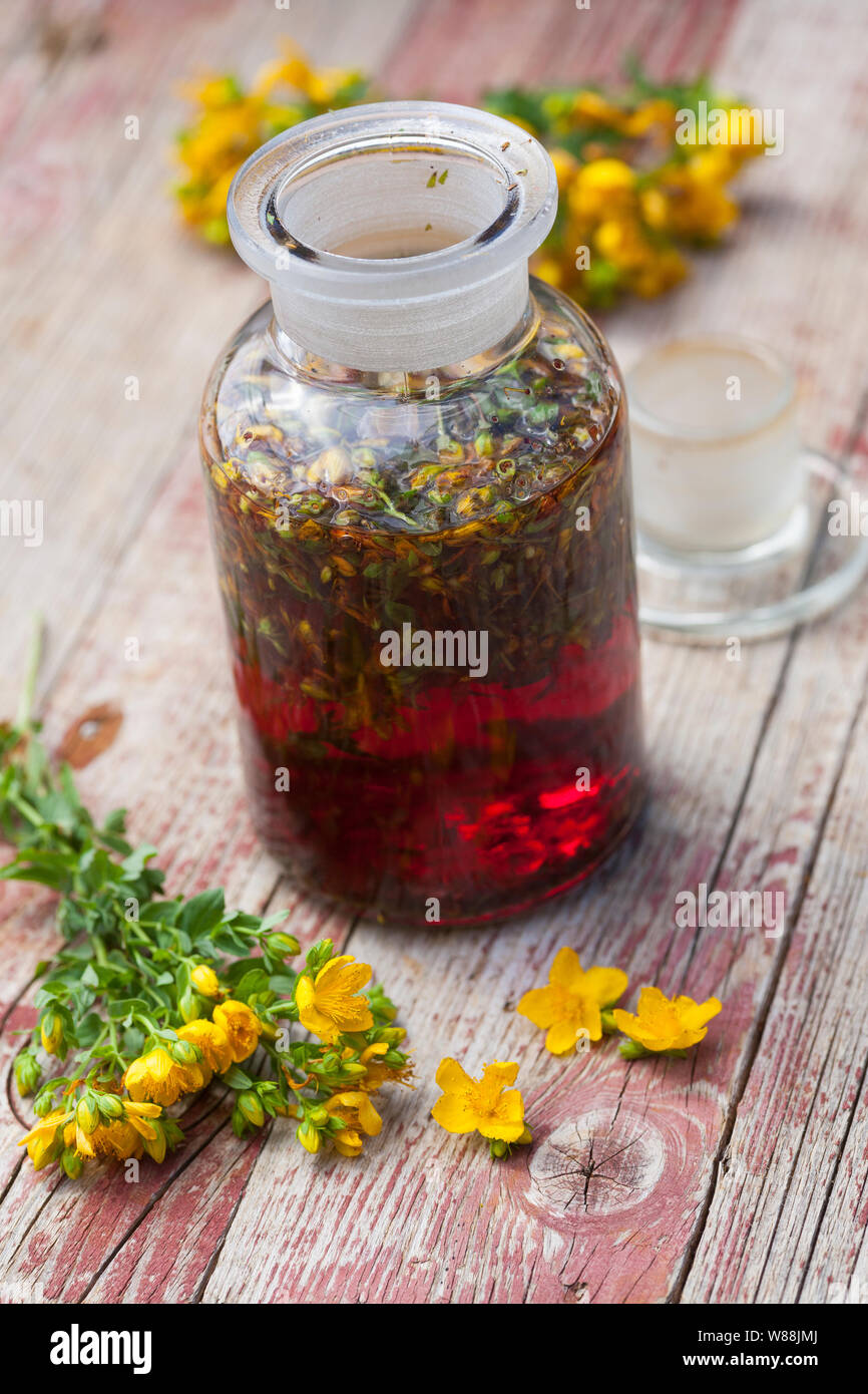 Johanniskrauttinktur, Johanniskraut-Tinktur, Tinktur, Tinkturen, alkoholischer Auszug aus Johanniskraut, Tüpfel-Johanniskraut, Echtes Johanniskraut, J Stockfoto