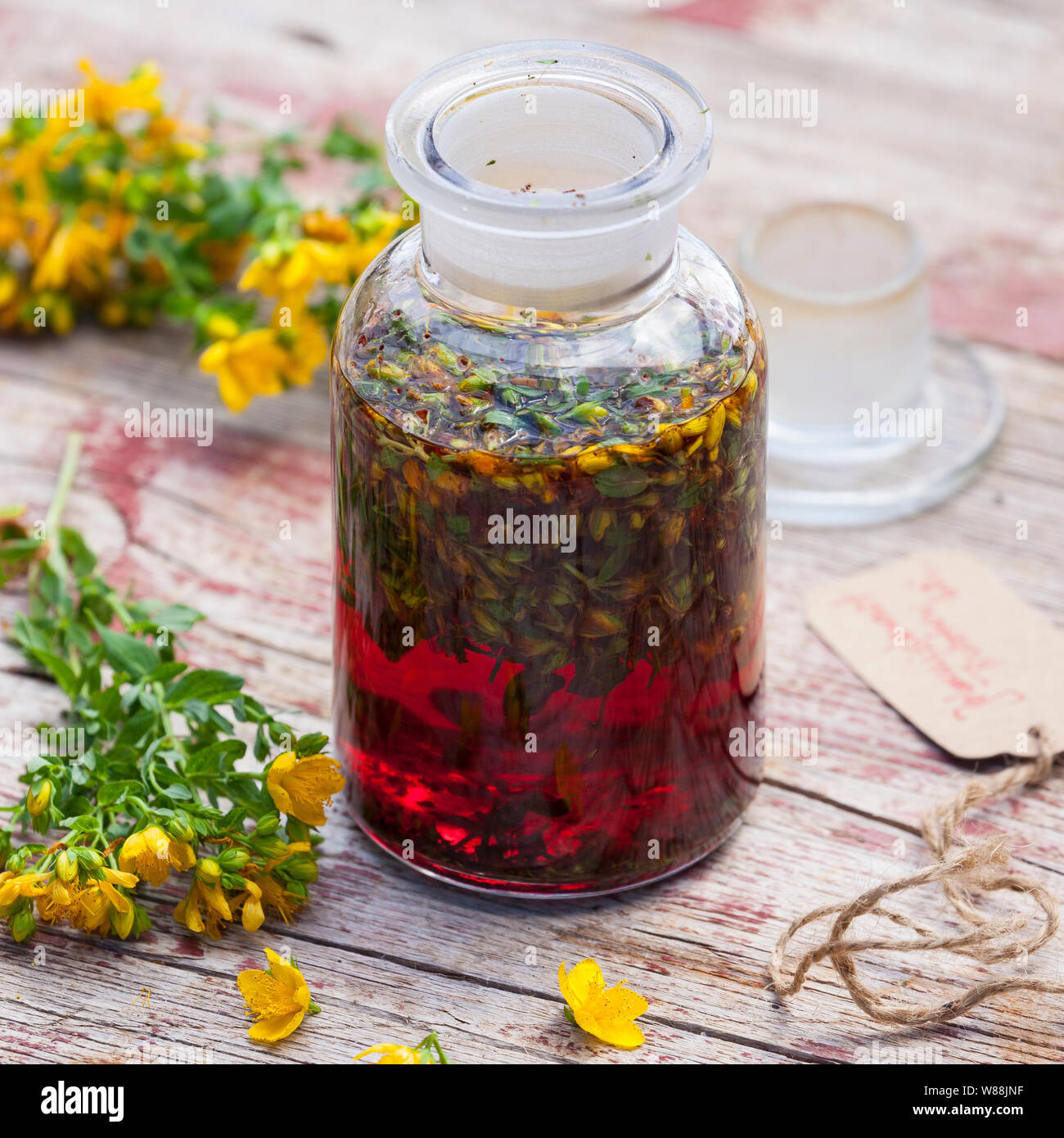 Johanniskrauttinktur, Johanniskraut-Tinktur, Tinktur, Tinkturen, alkoholischer Auszug aus Johanniskraut, Tüpfel-Johanniskraut, Echtes Johanniskraut, J Stockfoto