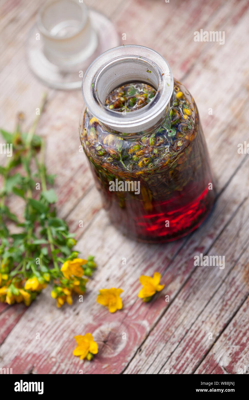 Johanniskrauttinktur, Johanniskraut-Tinktur, Tinktur, Tinkturen, alkoholischer Auszug aus Johanniskraut, Tüpfel-Johanniskraut, Echtes Johanniskraut, J Stockfoto