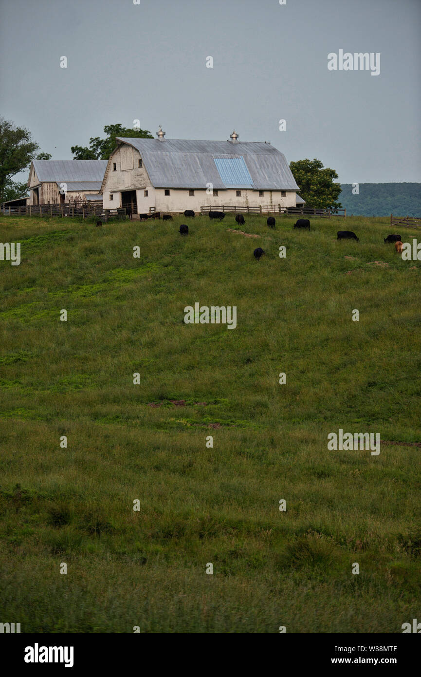 UNITED STATES - Juni 5, 2019: Der westliche Blick auf die Blue Ridge Mountains und einem alten Bauernhof am Rande des Dorfes Hillsboro. (Foto von Douglas Grah Stockfoto