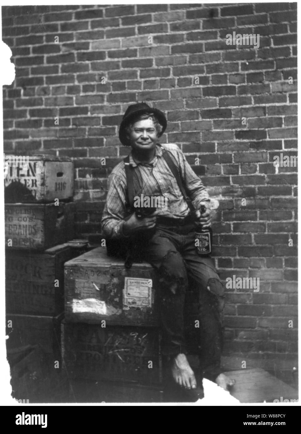 John Bour - barfuß, schäbig gekleidete Mann, sitzend auf Kisten, vor der Mauer, mit Arm um eine Katze, die eine Flasche Raleigh Rye Whiskey Stockfoto