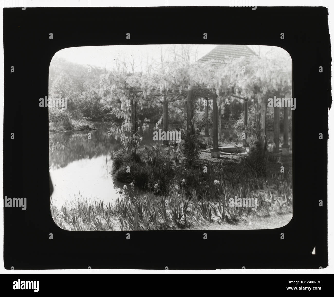 Laurelton Hall, Louis Tiffany Foundation, Lorbeer, Hohl, Cold Spring Harbor, New York. Wisteria Pergola Stockfoto