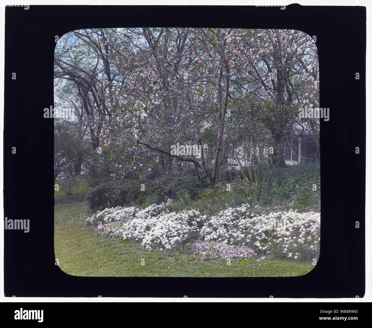 Lyndhurst, Finley Johnson Shepard House, 635 South Broadway, Tarrytown, New York. Frühjahrsblüte Stockfoto