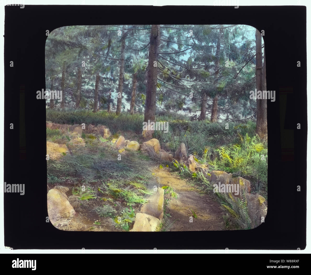 Lyndhurst, Finley Johnson Shepard House, 635 South Broadway, Tarrytown, New York. Pine Grove Stockfoto