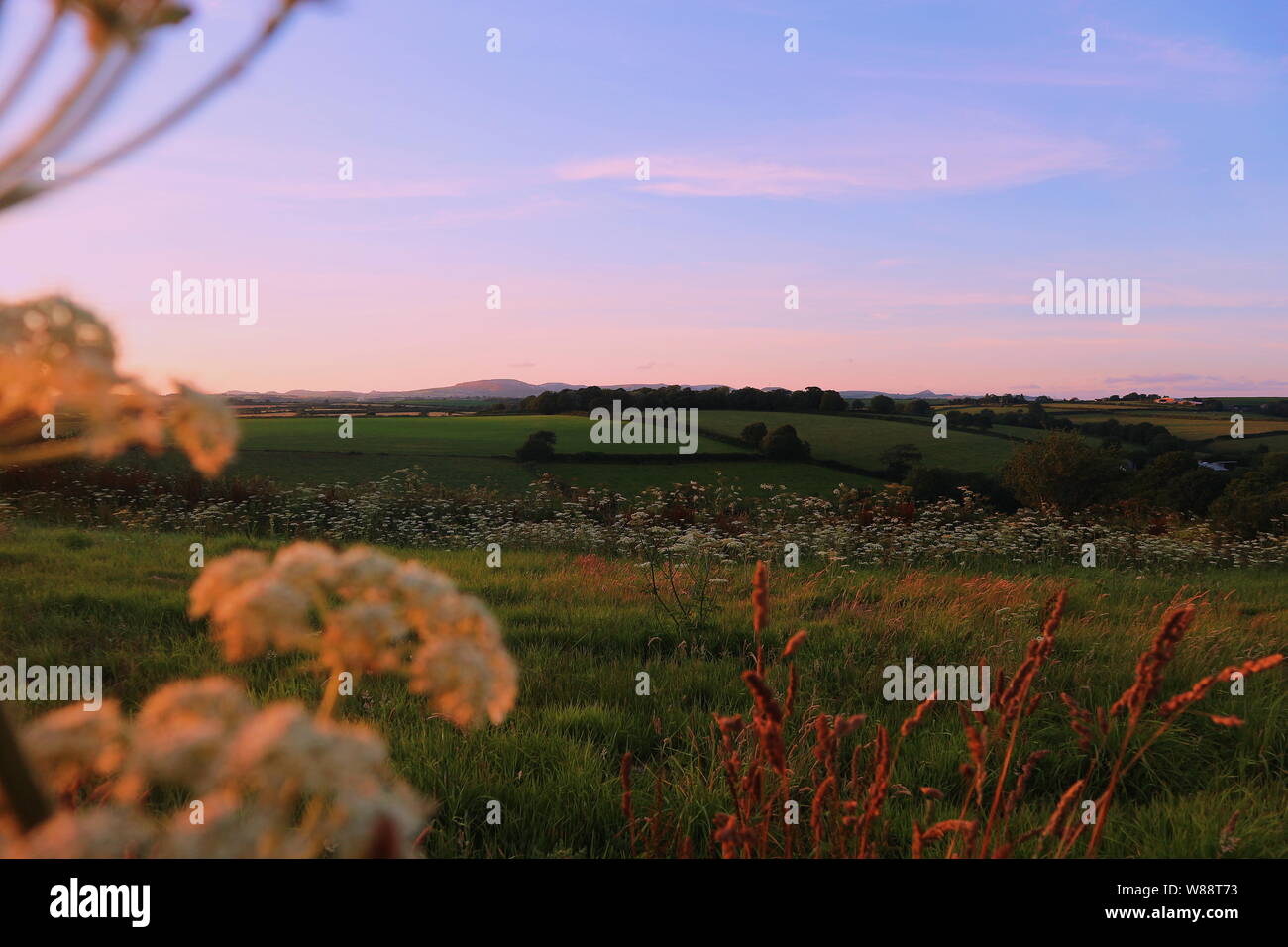 Eine große Wiese in England, UK bei Sonnenuntergang. Stockfoto