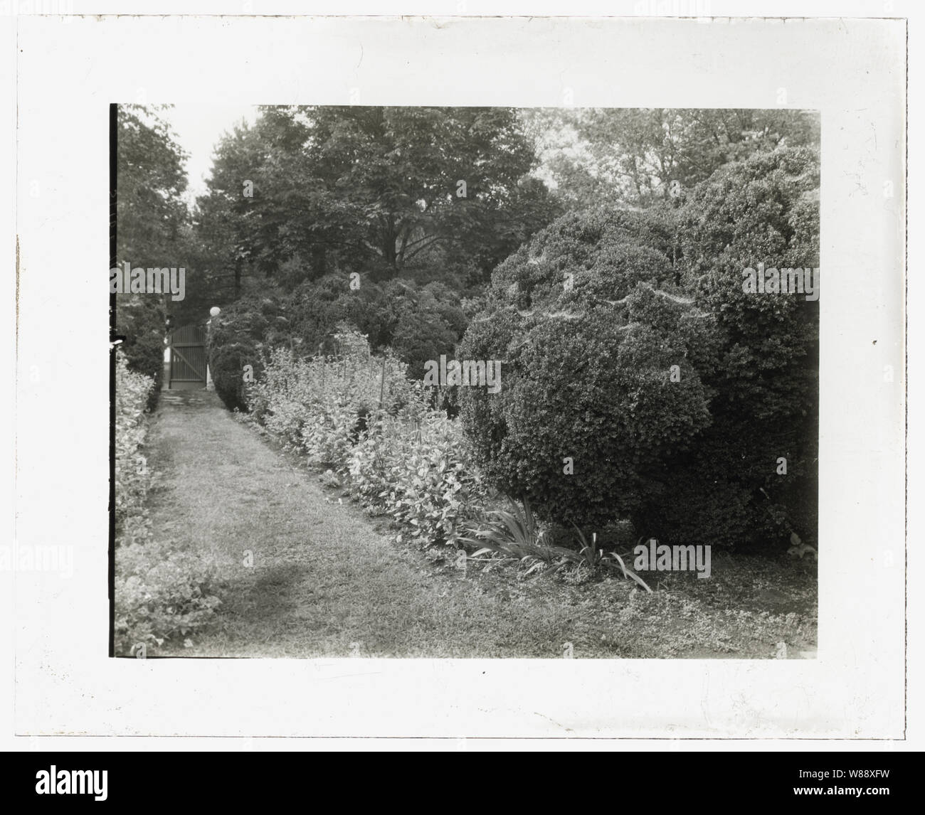 Redlands, Polly Coles und Sally Randolph Carter House, Carter's Bridge, eine Meile östlich der Kreuzung der Routen 708 und 627, Covesville, Albemarle County, Virginia. Pfad Stockfoto