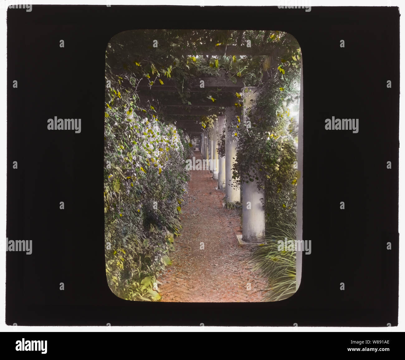 Der Obstgarten, James Lawrence Breese House, 151 Hill Street, Southampton, New York. Pergola Stockfoto