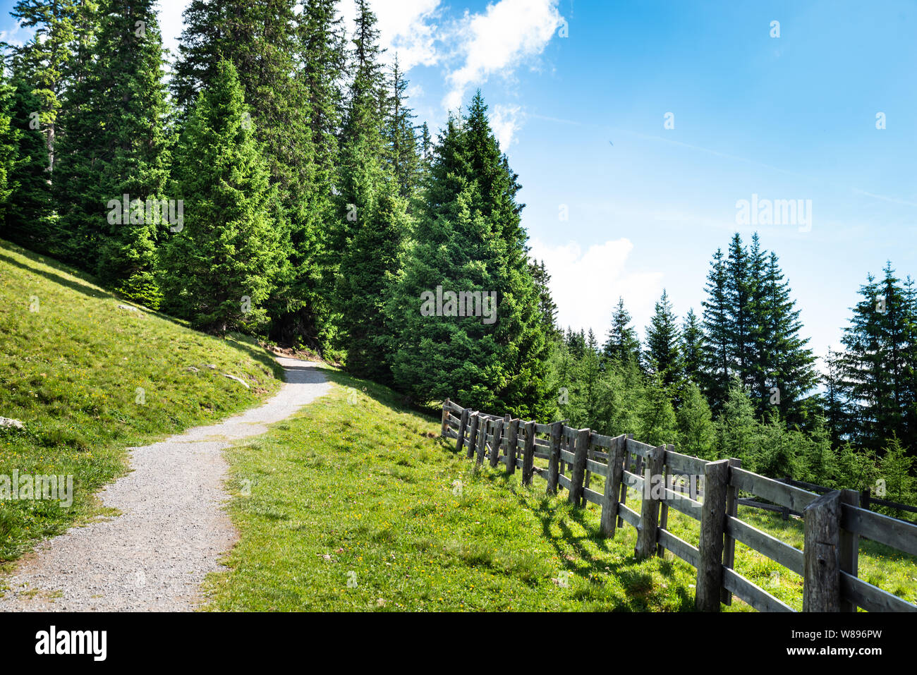 Wanderweg in die Berge in den Alpen in Österreich Stockfoto