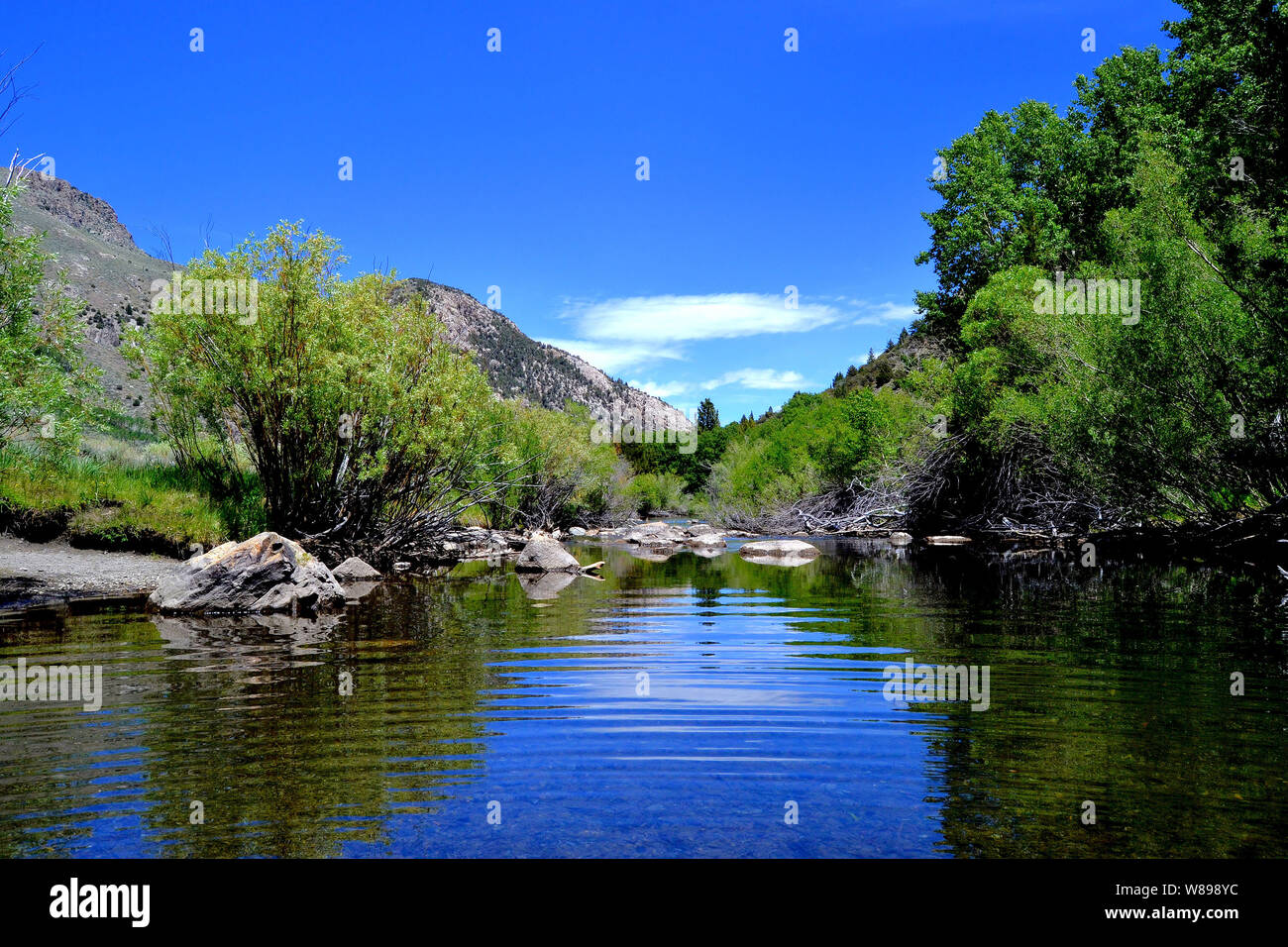 Rush Creek im Juni See, CA. Stockfoto