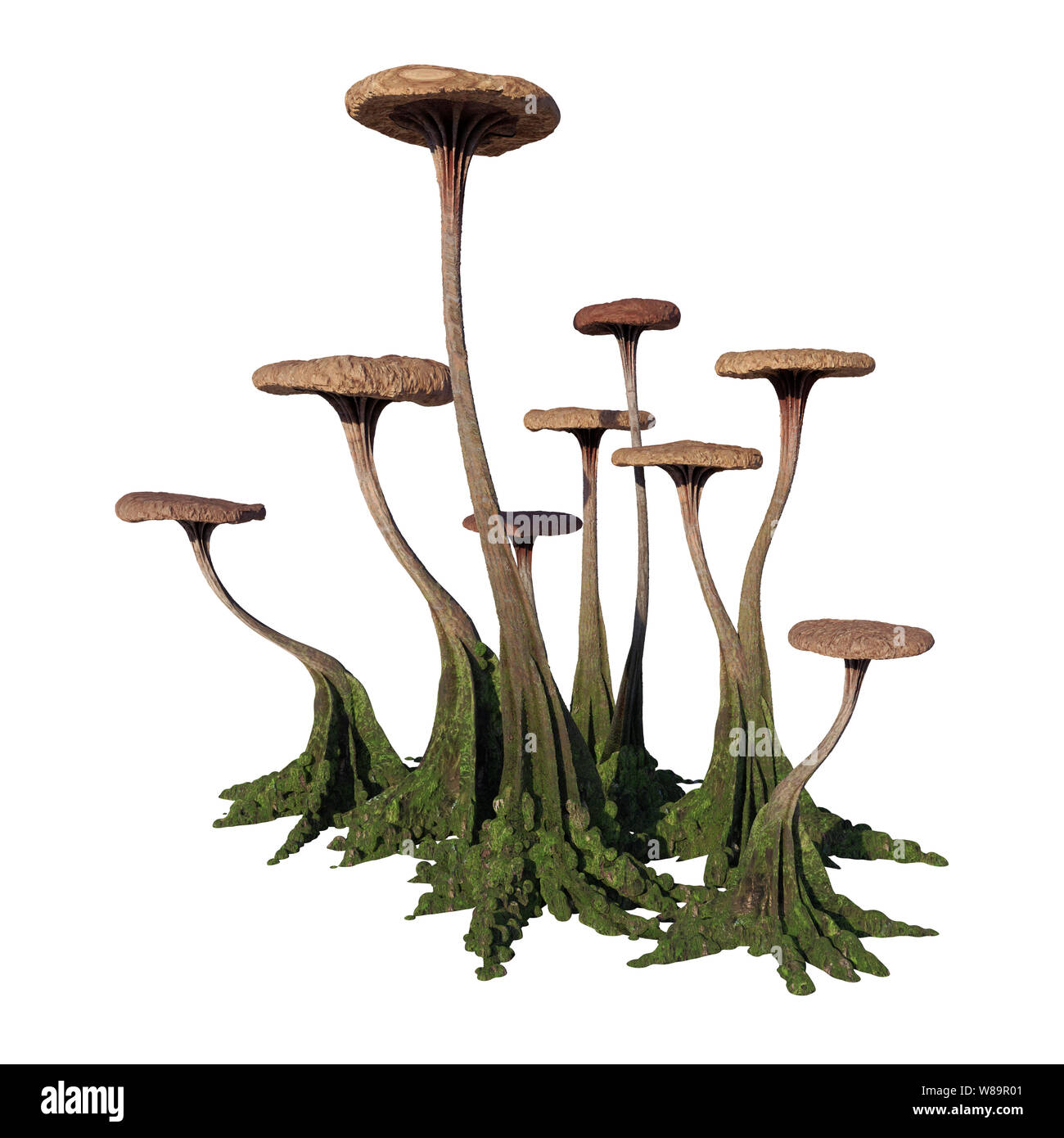 Pilze, Seltsame ausserirdische Pilz isoliert auf weißem Hintergrund Stockfoto
