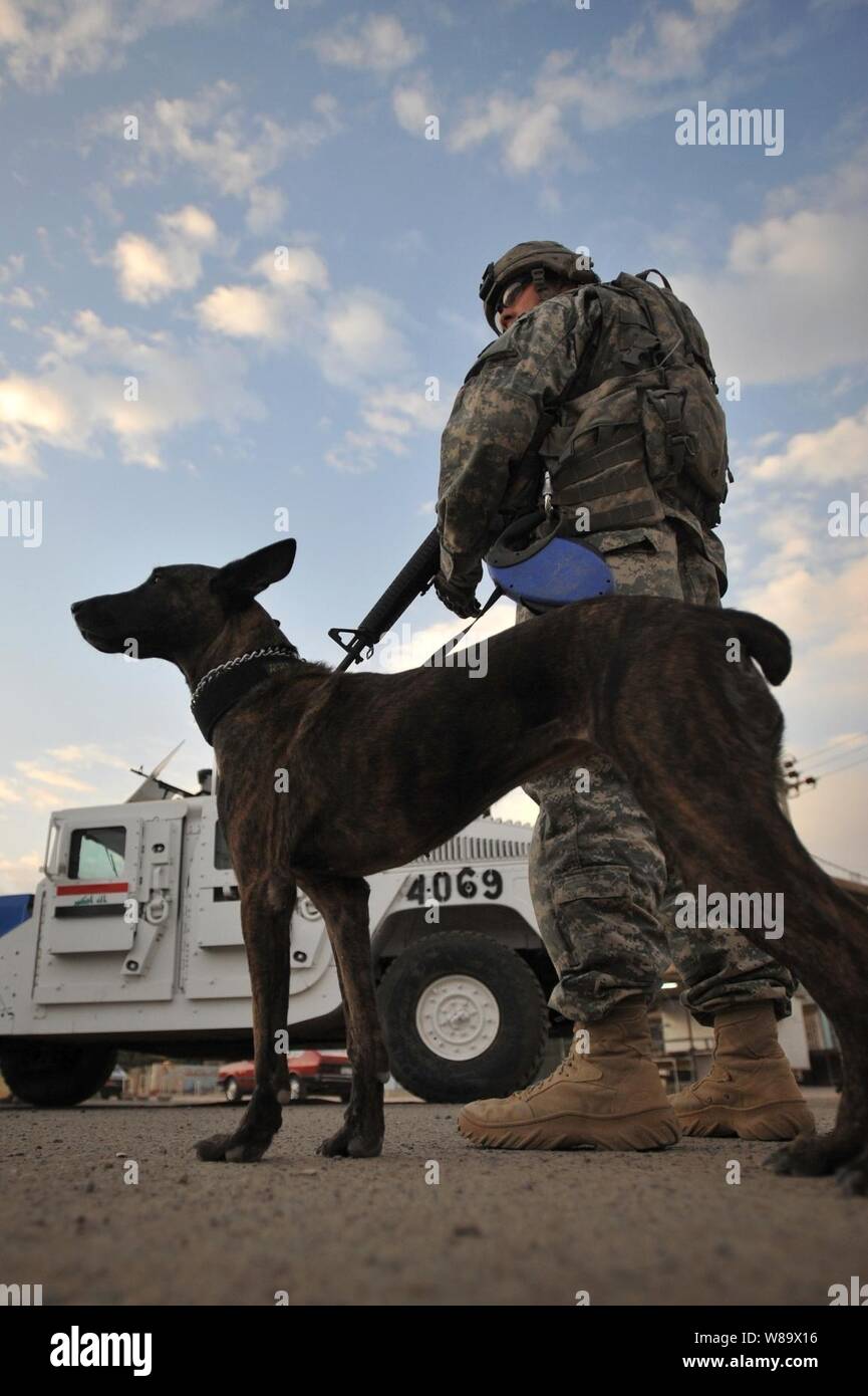 U.S. Army Staff Sgt. Christopher beäugeln und Liaka, eine militärische Gebrauchshund, für die dayís Mission, eine gemeinsame Suche und Patrouille durch US-Soldaten und der irakischen nationalen Polizei in der Hadar Gemeinschaft von Bagdad, Irak, an November 29, 2008 durchgeführt. Stockfoto