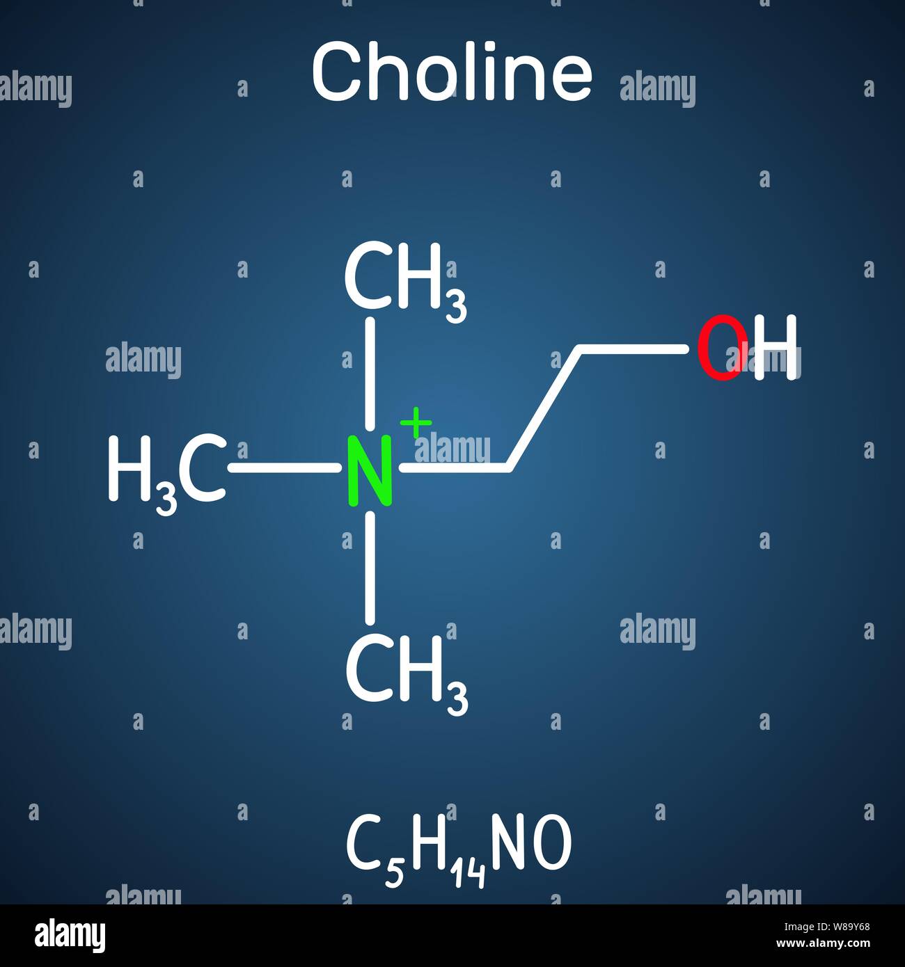 Cholin Vitamin-wie wichtig nutrien Molekül. Es ist ein Bestandteil von lecithin. Strukturelle chemische Formel auf dem dunkelblauen Hintergrund. Vektor illu Stock Vektor