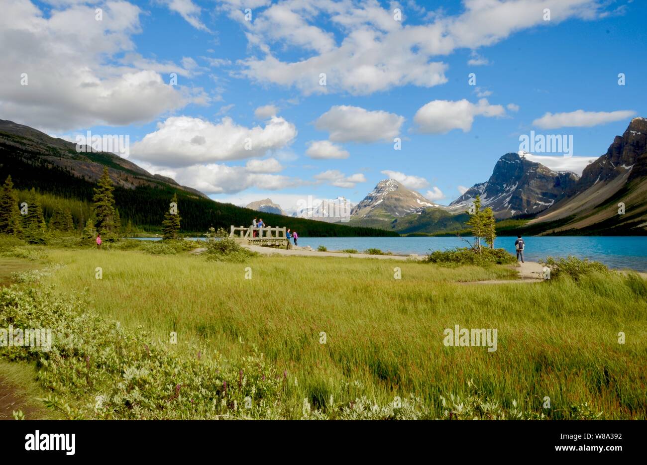 Blick auf Bow Lake an einem Sommertag gegen schneebedeckten Kanadischen Rocky Mountains Stockfoto